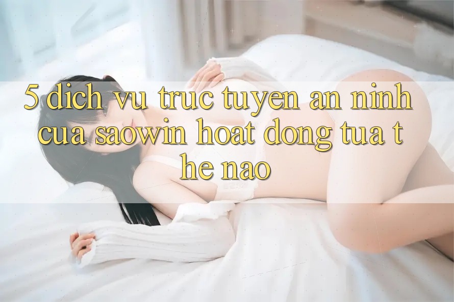 5. Dịch vụ trực tuyến An ninh Của Saowin Hoạt Động Tựa Thế Nào?