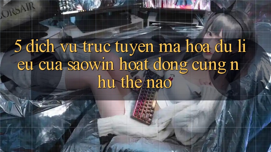 5. Dịch vụ trực tuyến Mã hóa dữ liệu Của Saowin Hoạt Động Cũng như Thế Nào? 5. Dịch vụ trực tuyến Mã hóa dữ liệu Của Saowin Hoạt Động Cũng như Thế Nào?