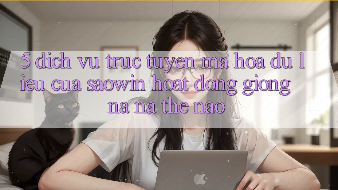 5. Dịch vụ trực tuyến Mã hóa dữ liệu Của Saowin Hoạt Động Giống na ná Thế Nào? 5. Dịch vụ trực tuyến Mã hóa dữ liệu Của Saowin Hoạt Động Giống na ná Thế Nào?