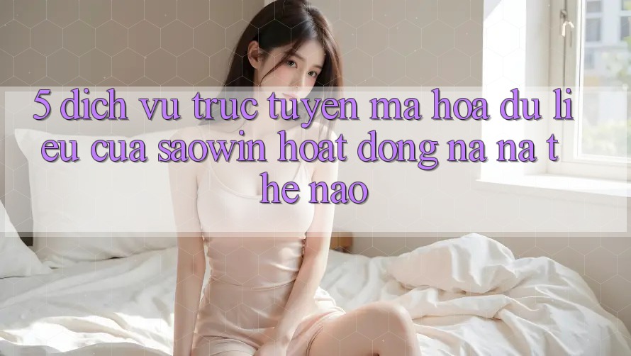 5. Dịch vụ trực tuyến Mã hóa dữ liệu Của Saowin Hoạt Động Na ná Thế Nào?