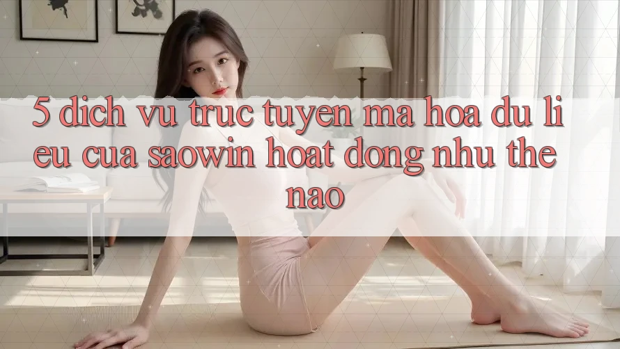 5. Dịch vụ trực tuyến Mã hóa dữ liệu Của Saowin Hoạt Động Như Thế Nào? 5. Dịch vụ trực tuyến Mã hóa dữ liệu Của Saowin Hoạt Động Như Thế Nào?