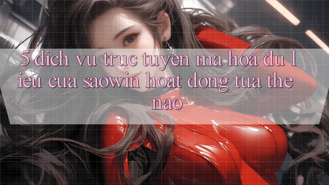 5. Dịch vụ trực tuyến Mã hóa dữ liệu Của Saowin Hoạt Động Tựa Thế Nào?
