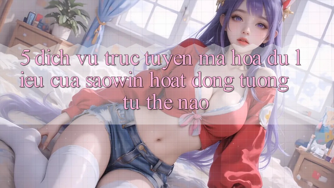5. Dịch vụ trực tuyến Mã hóa dữ liệu Của Saowin Hoạt Động Tương tự Thế Nào? 5. Dịch vụ trực tuyến Mã hóa dữ liệu Của Saowin Hoạt Động Tương tự Thế Nào?