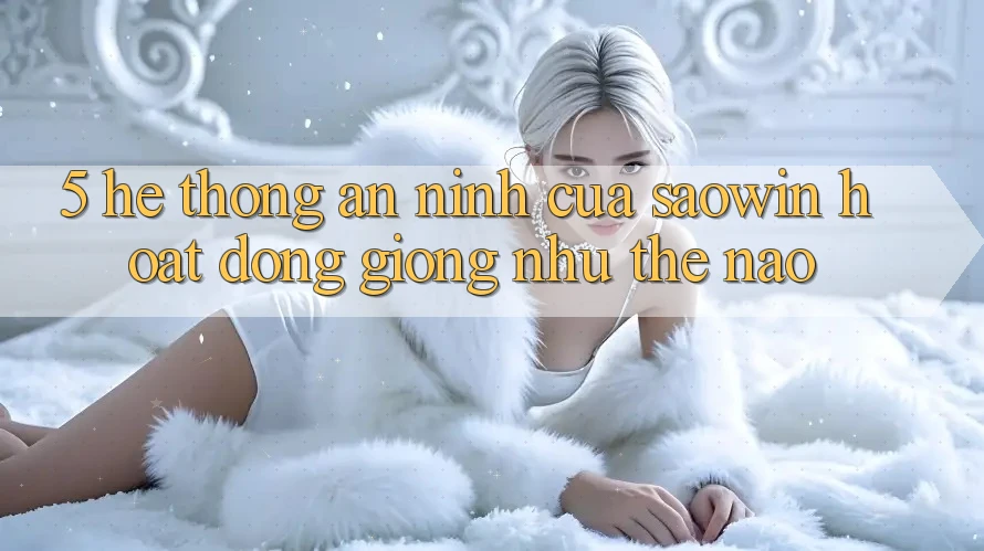 5. Hệ Thống An ninh Của Saowin Hoạt Động Giống như Thế Nào? 5. Hệ Thống An ninh Của Saowin Hoạt Động Giống như Thế Nào?