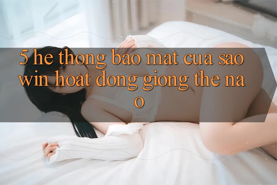 5. Hệ Thống Bảo Mật Của Saowin Hoạt Động Giống Thế Nào? 5. Hệ Thống Bảo Mật Của Saowin Hoạt Động Giống Thế Nào?