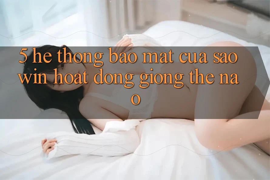 5. Hệ Thống Bảo Mật Của Saowin Hoạt Động Giống Thế Nào?