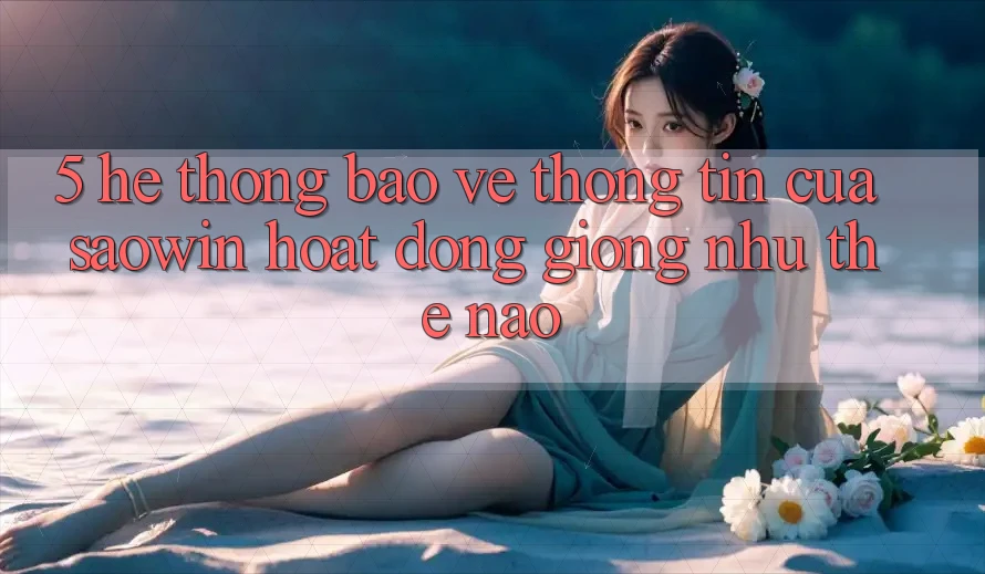 5. Hệ Thống Bảo vệ thông tin Của Saowin Hoạt Động Giống như Thế Nào? 5. Hệ Thống Bảo vệ thông tin Của Saowin Hoạt Động Giống như Thế Nào?