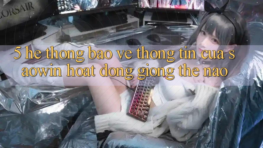 5. Hệ Thống Bảo vệ thông tin Của Saowin Hoạt Động Giống Thế Nào? 5. Hệ Thống Bảo vệ thông tin Của Saowin Hoạt Động Giống Thế Nào?