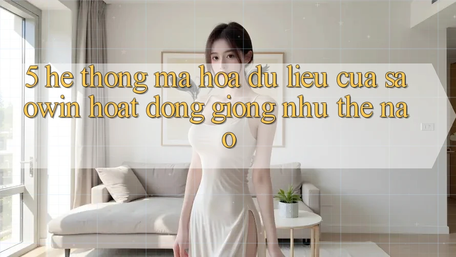 5. Hệ Thống Mã hóa dữ liệu Của Saowin Hoạt Động Giống như Thế Nào? 5. Hệ Thống Mã hóa dữ liệu Của Saowin Hoạt Động Giống như Thế Nào?