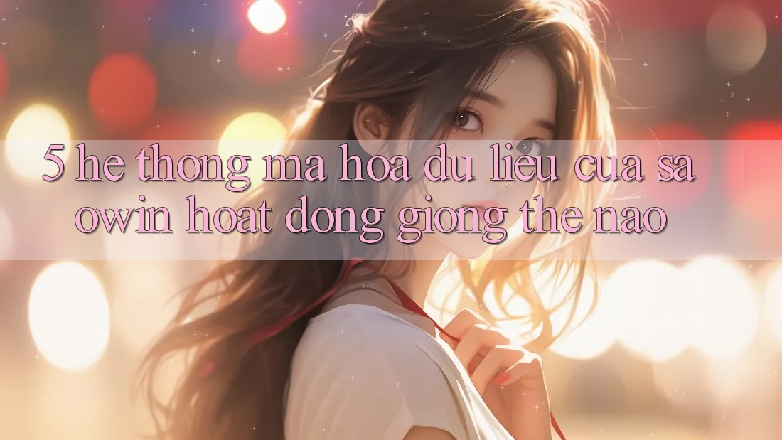 5. Hệ Thống Mã hóa dữ liệu Của Saowin Hoạt Động Giống Thế Nào?