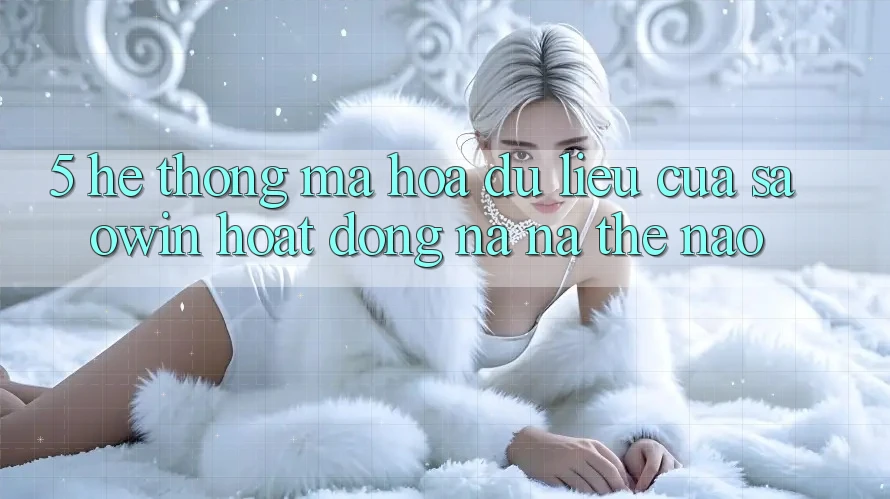 5. Hệ Thống Mã hóa dữ liệu Của Saowin Hoạt Động Na ná Thế Nào? 5. Hệ Thống Mã hóa dữ liệu Của Saowin Hoạt Động Na ná Thế Nào?