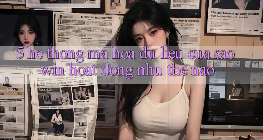 5. Hệ Thống Mã hóa dữ liệu Của Saowin Hoạt Động Như Thế Nào?