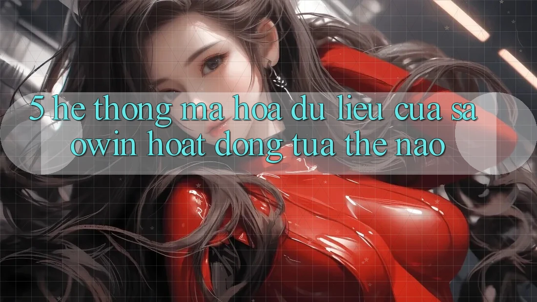 5. Hệ Thống Mã hóa dữ liệu Của Saowin Hoạt Động Tựa Thế Nào?