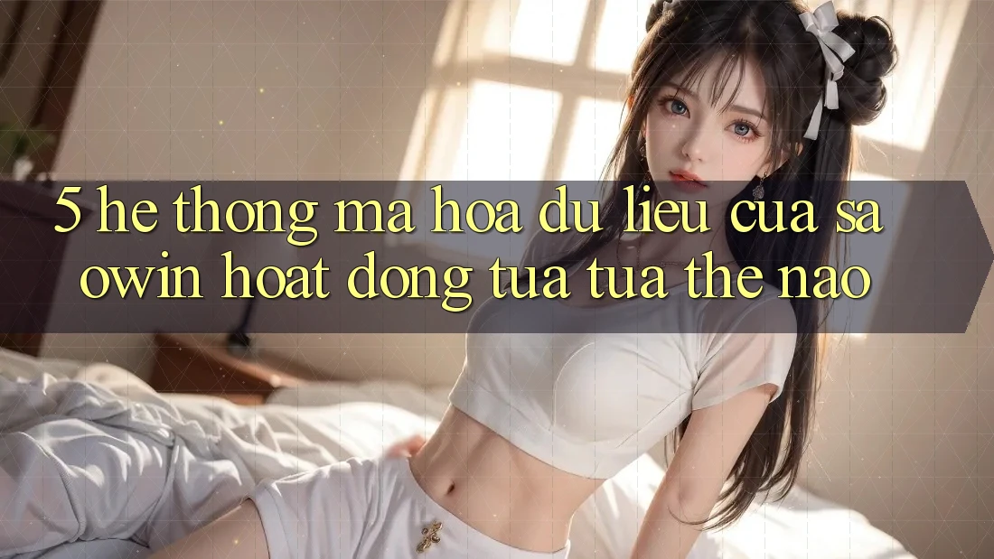 5. Hệ Thống Mã hóa dữ liệu Của Saowin Hoạt Động Tựa tựa Thế Nào?