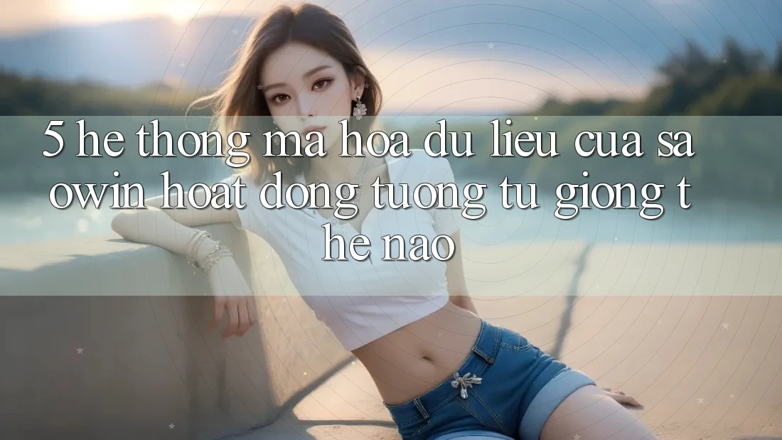 5. Hệ Thống Mã hóa dữ liệu Của Saowin Hoạt Động Tương tự giống Thế Nào? 5. Hệ Thống Mã hóa dữ liệu Của Saowin Hoạt Động Tương tự giống Thế Nào?