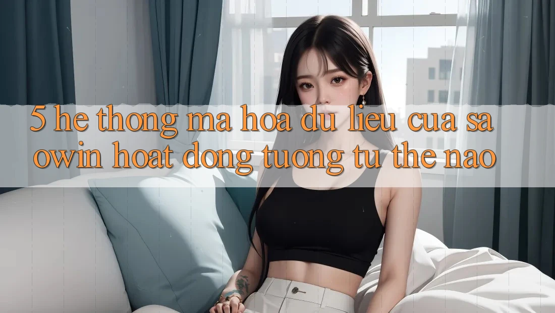 5. Hệ Thống Mã hóa dữ liệu Của Saowin Hoạt Động Tương tự Thế Nào?