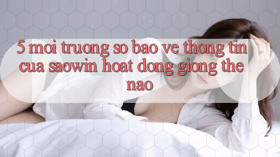 5. Môi trường số Bảo vệ thông tin Của Saowin Hoạt Động Giống Thế Nào? 5. Môi trường số Bảo vệ thông tin Của Saowin Hoạt Động Giống Thế Nào?
