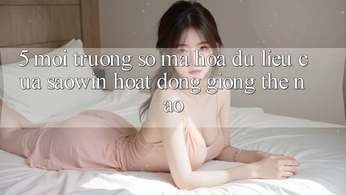 5. Môi trường số Mã hóa dữ liệu Của Saowin Hoạt Động Giống Thế Nào? 5. Môi trường số Mã hóa dữ liệu Của Saowin Hoạt Động Giống Thế Nào?