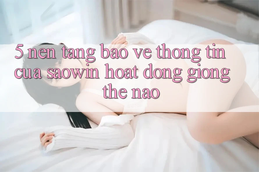 5. Nền tảng Bảo vệ thông tin Của Saowin Hoạt Động Giống Thế Nào? 5. Nền tảng Bảo vệ thông tin Của Saowin Hoạt Động Giống Thế Nào?