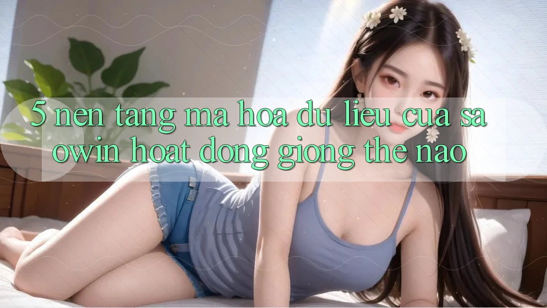5. Nền tảng Mã hóa dữ liệu Của Saowin Hoạt Động Giống Thế Nào?