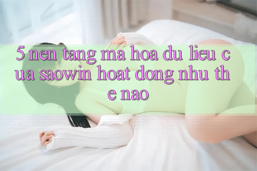 5. Nền tảng Mã hóa dữ liệu Của Saowin Hoạt Động Như Thế Nào? 5. Nền tảng Mã hóa dữ liệu Của Saowin Hoạt Động Như Thế Nào?