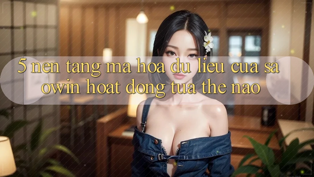 5. Nền tảng Mã hóa dữ liệu Của Saowin Hoạt Động Tựa Thế Nào? 5. Nền tảng Mã hóa dữ liệu Của Saowin Hoạt Động Tựa Thế Nào?