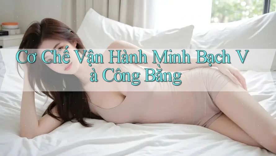 Cơ Chế Vận Hành Minh Bạch Và Công Bằng