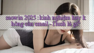 saowin 2025 kinh nghiệm hay không cần email   flush là gì