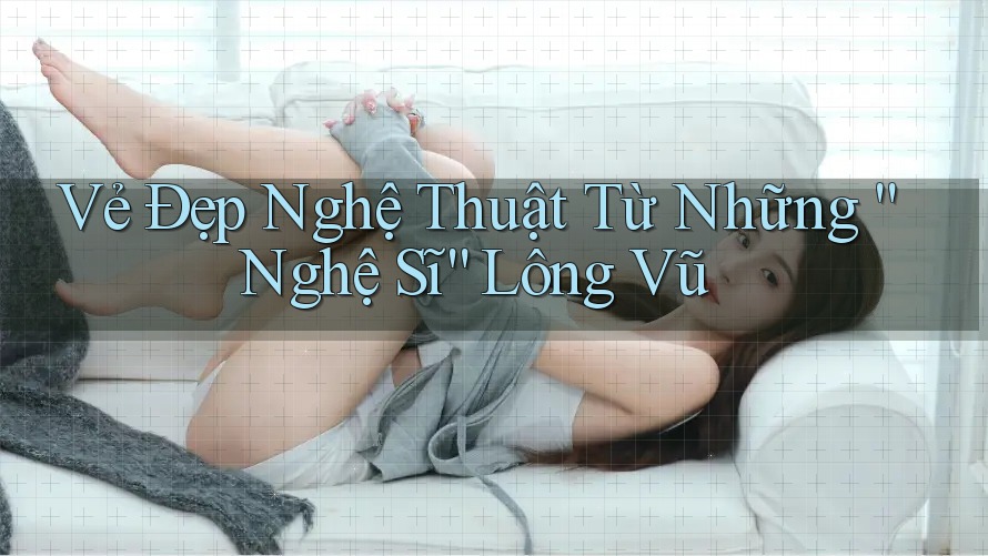 Vẻ Đẹp Nghệ Thuật Từ Những “Nghệ Sĩ” Lông Vũ Vẻ Đẹp Nghệ Thuật Từ Những “Nghệ Sĩ” Lông Vũ